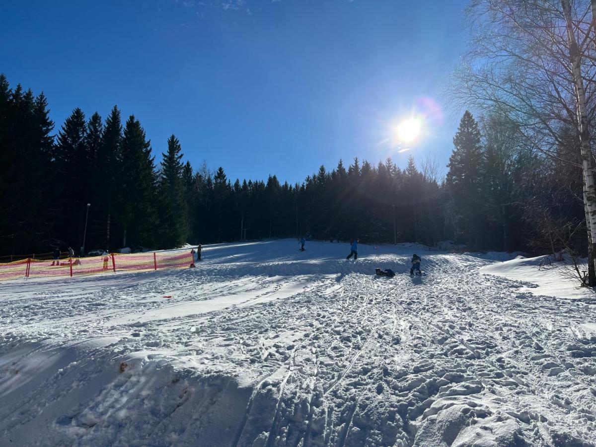 Hotel Seidorf Kolo Karpacza Соснувка Экстерьер фото