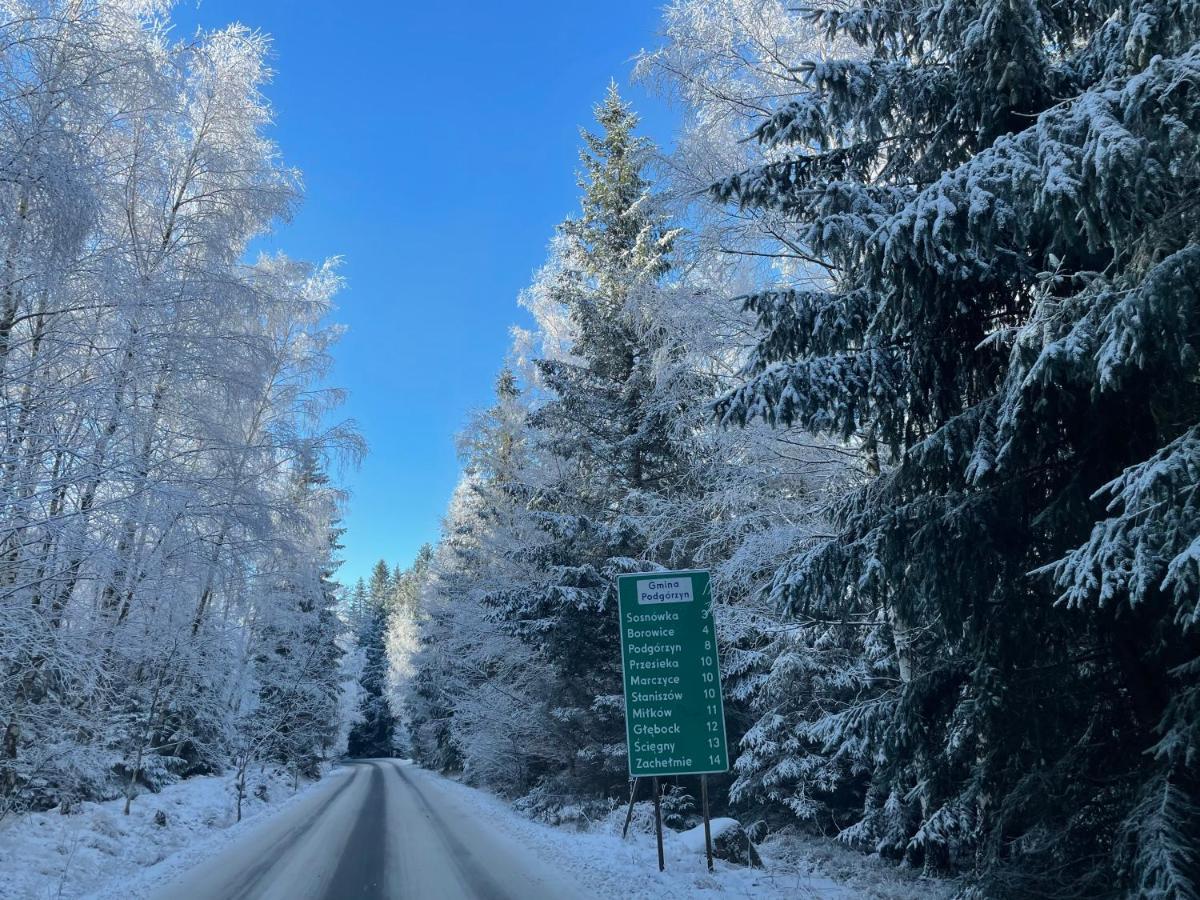 Hotel Seidorf Kolo Karpacza Соснувка Экстерьер фото